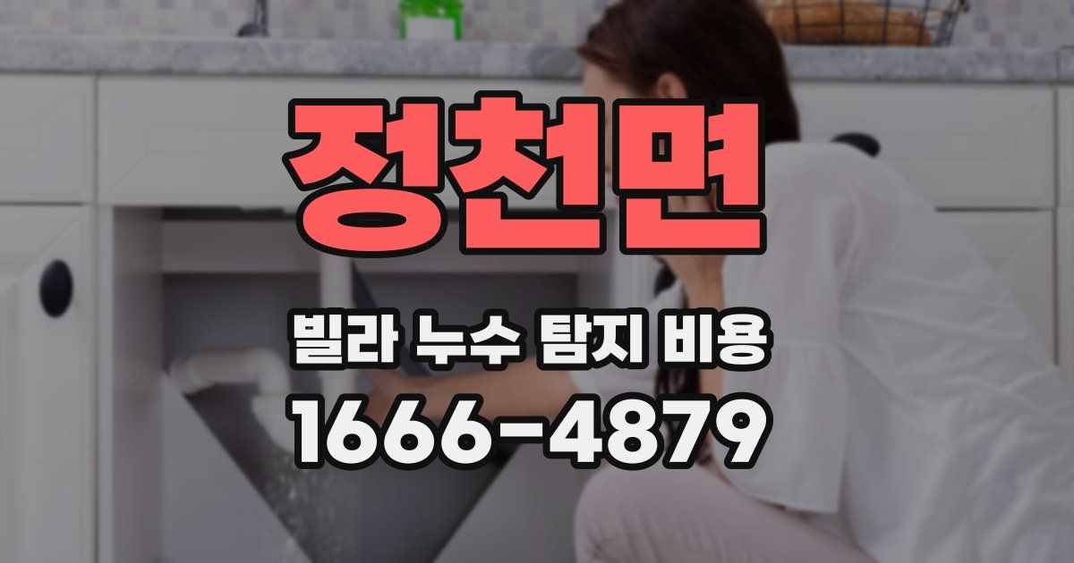 정천면 빌라 누수 탐지 비용