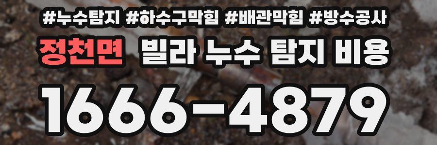 정천면 빌라 누수 탐지 비용