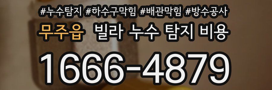 무주읍 빌라 누수 탐지 비용