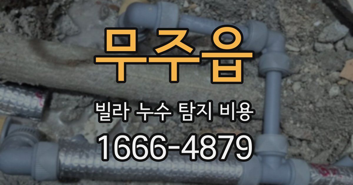 무주읍 빌라 누수 탐지 비용