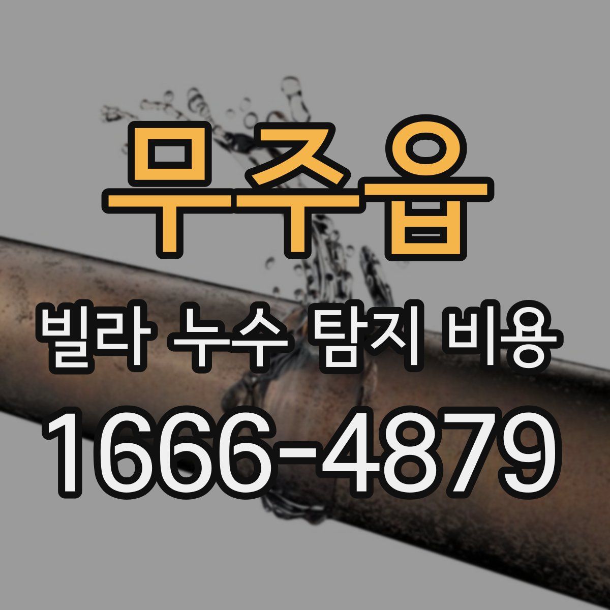 무주읍 빌라 누수 탐지 비용
