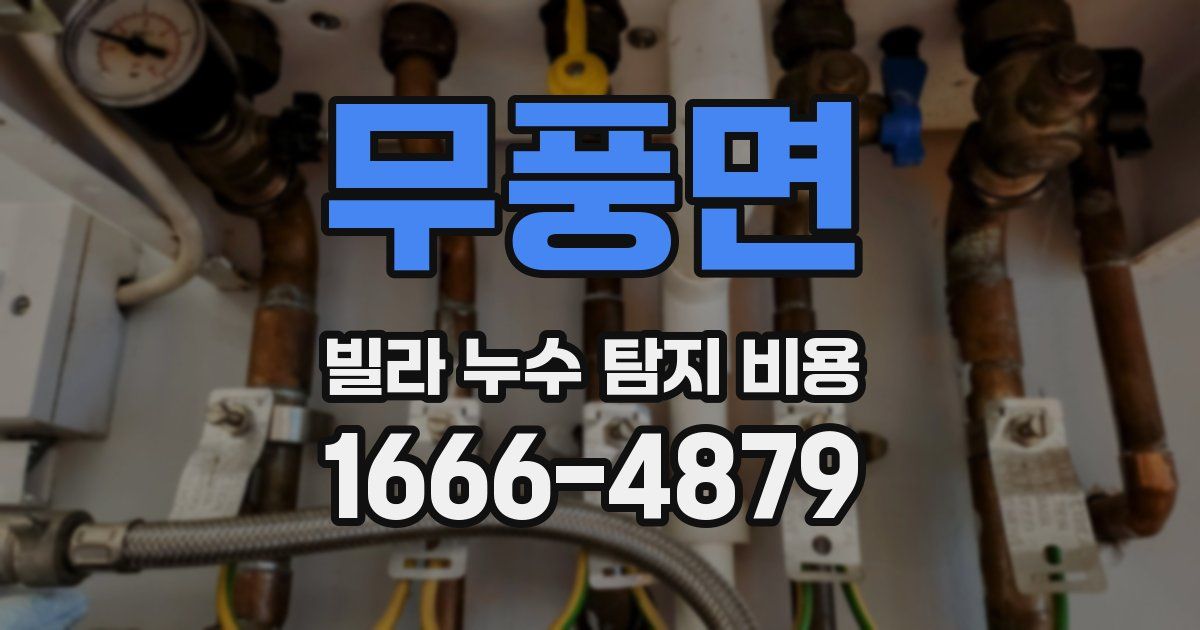 무풍면 빌라 누수 탐지 비용