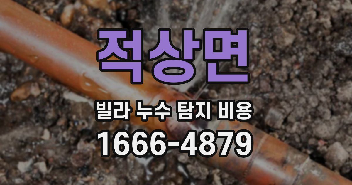 적상면 빌라 누수 탐지 비용
