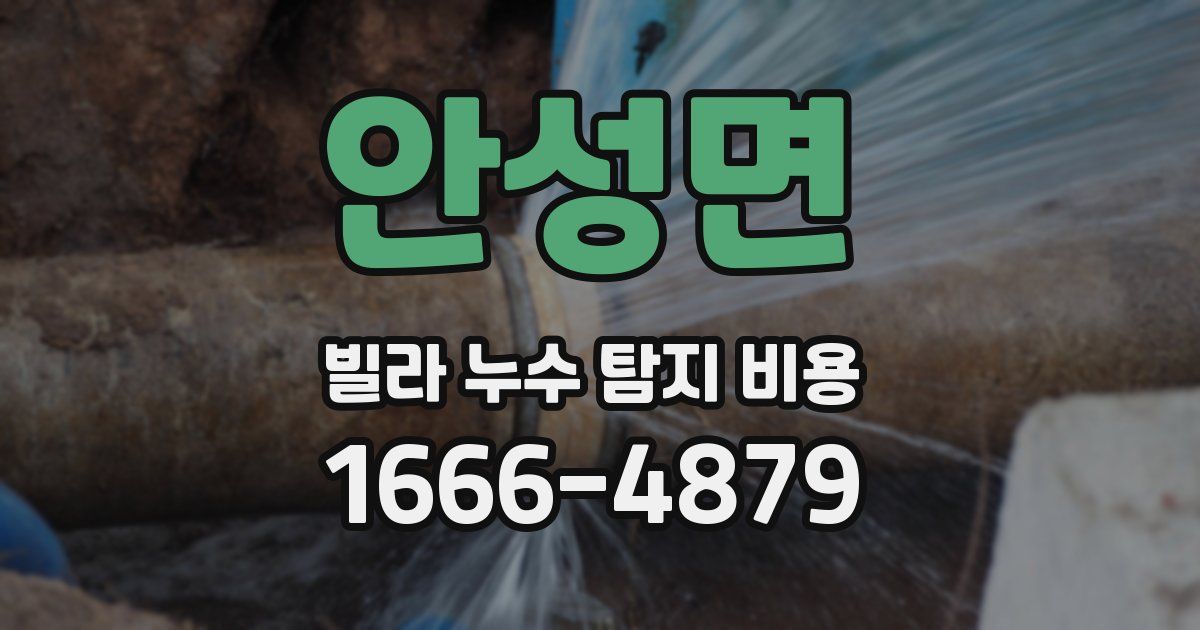 안성면 빌라 누수 탐지 비용