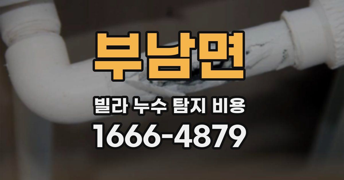 부남면 빌라 누수 탐지 비용