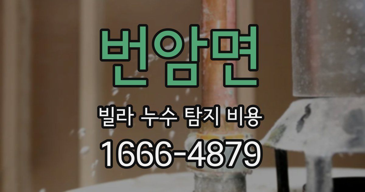 번암면 빌라 누수 탐지 비용