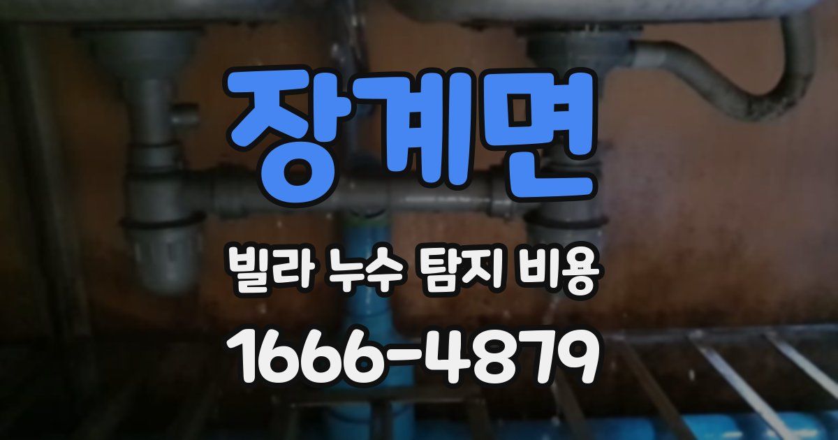 장계면 빌라 누수 탐지 비용