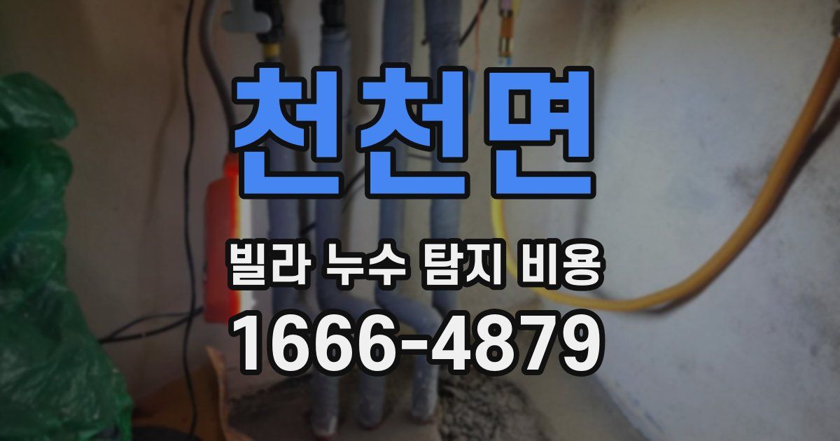 천천면 빌라 누수 탐지 비용