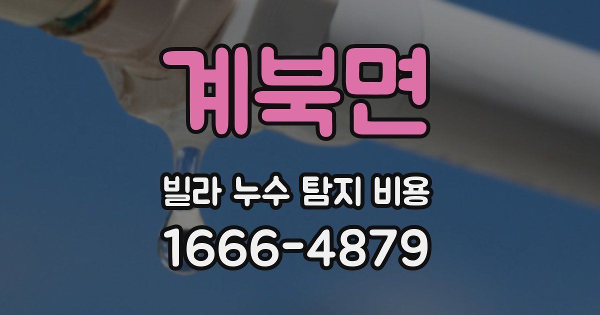 계북면 빌라 누수 탐지 비용