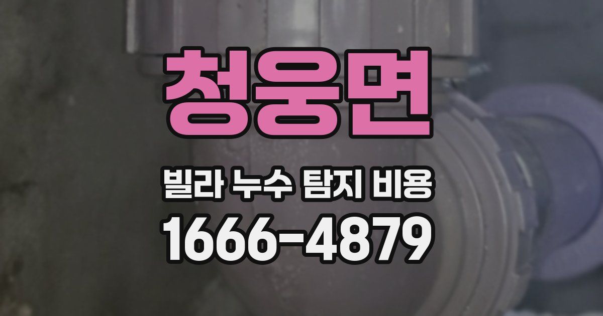 청웅면 빌라 누수 탐지 비용