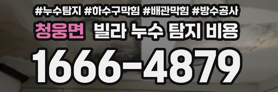 청웅면 빌라 누수 탐지 비용