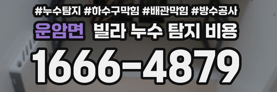 운암면 빌라 누수 탐지 비용