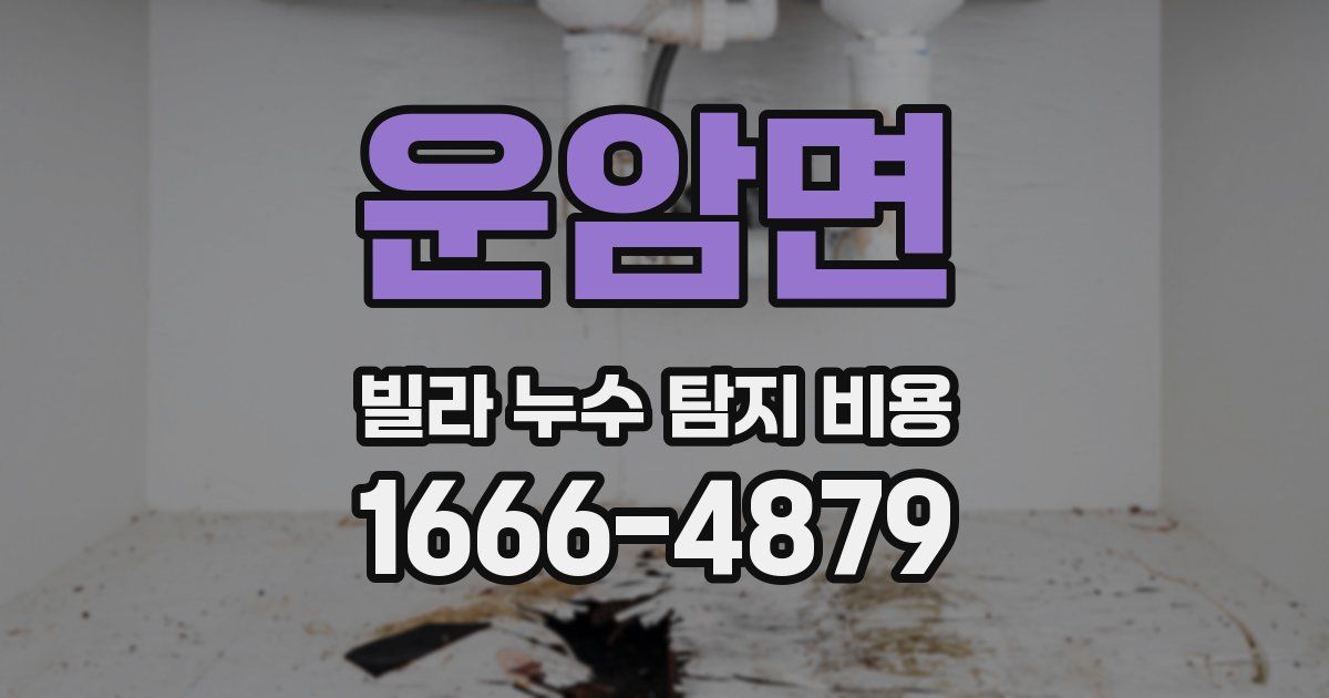 운암면 빌라 누수 탐지 비용