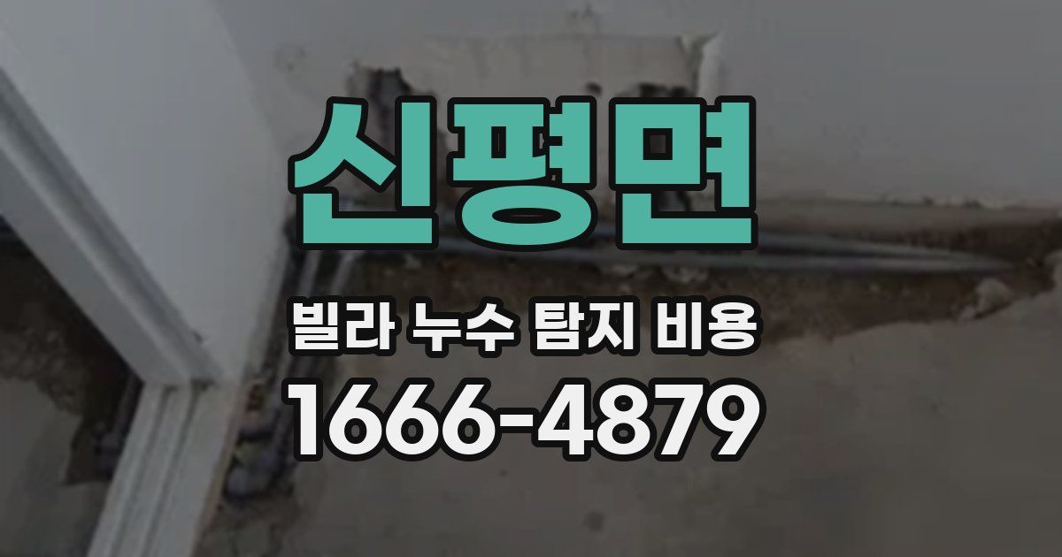 신평면 빌라 누수 탐지 비용