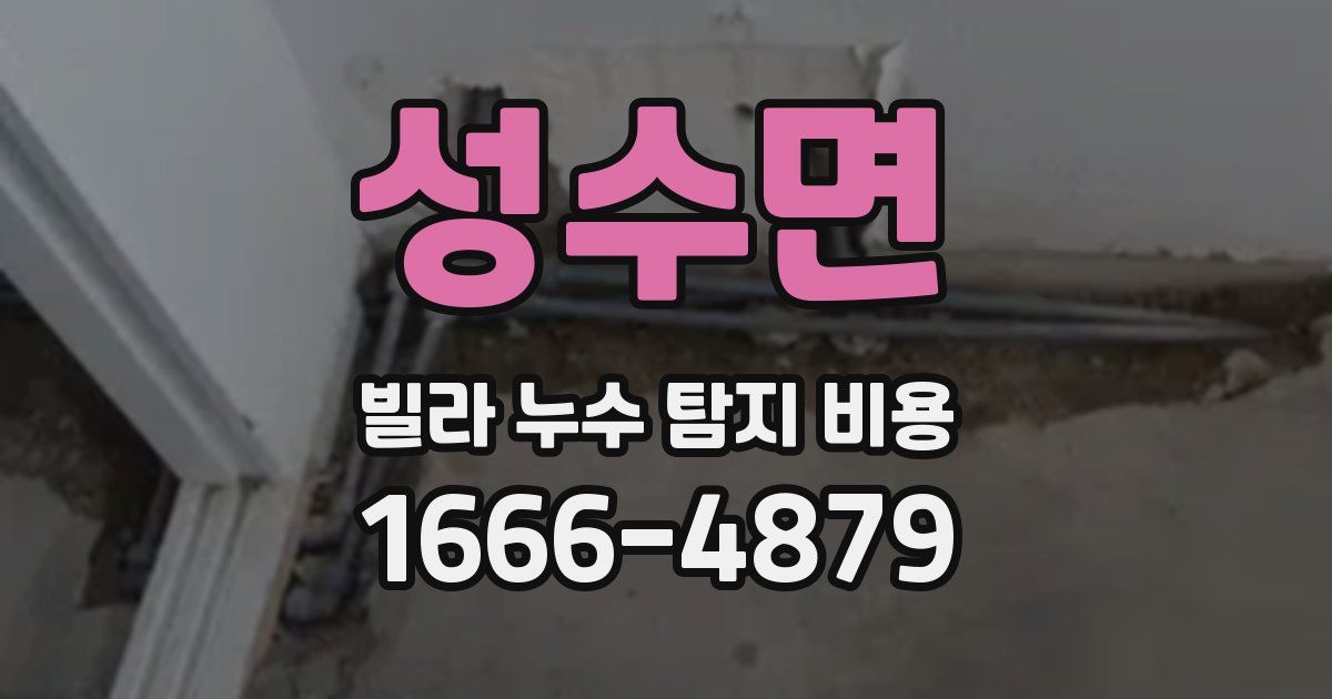성수면 빌라 누수 탐지 비용