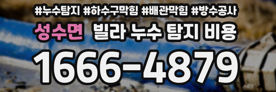 성수면 빌라 누수 탐지 비용