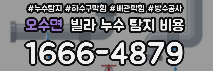 오수면 빌라 누수 탐지 비용