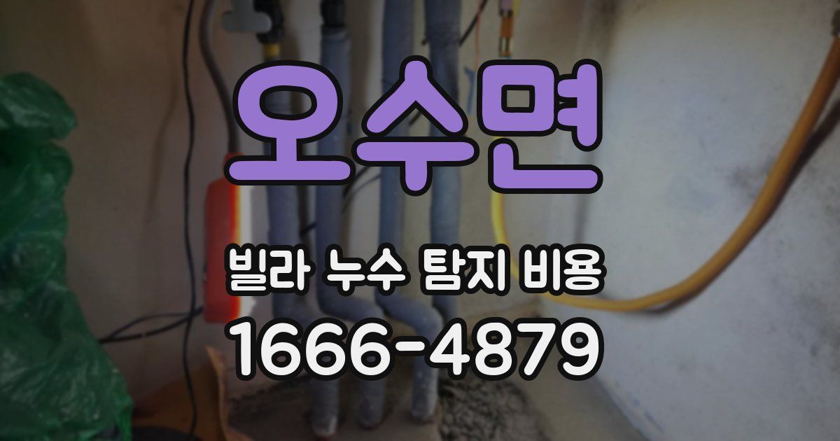 오수면 빌라 누수 탐지 비용