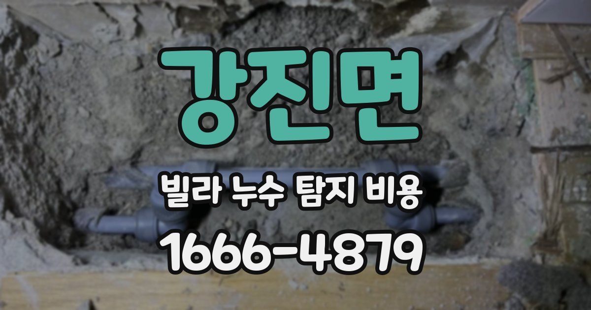 강진면 빌라 누수 탐지 비용