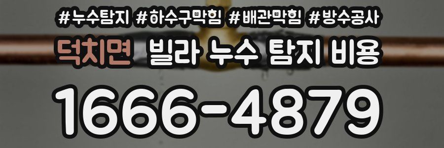 덕치면 빌라 누수 탐지 비용