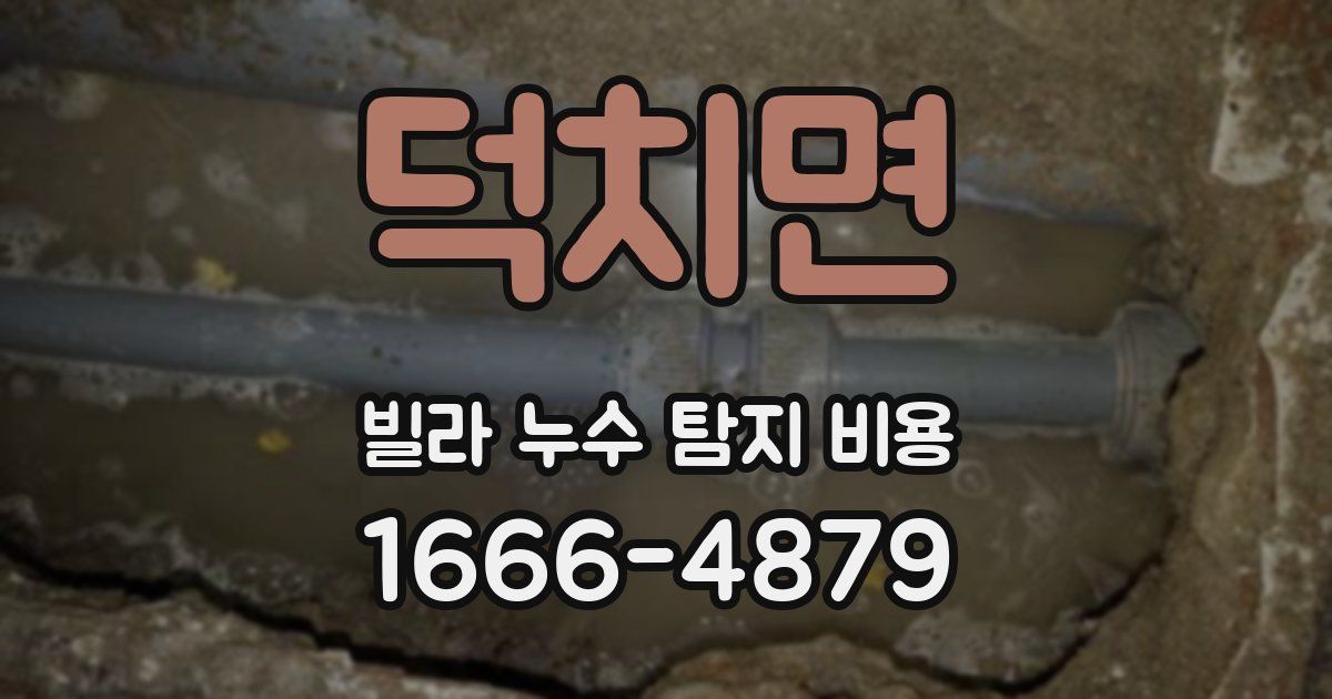 덕치면 빌라 누수 탐지 비용