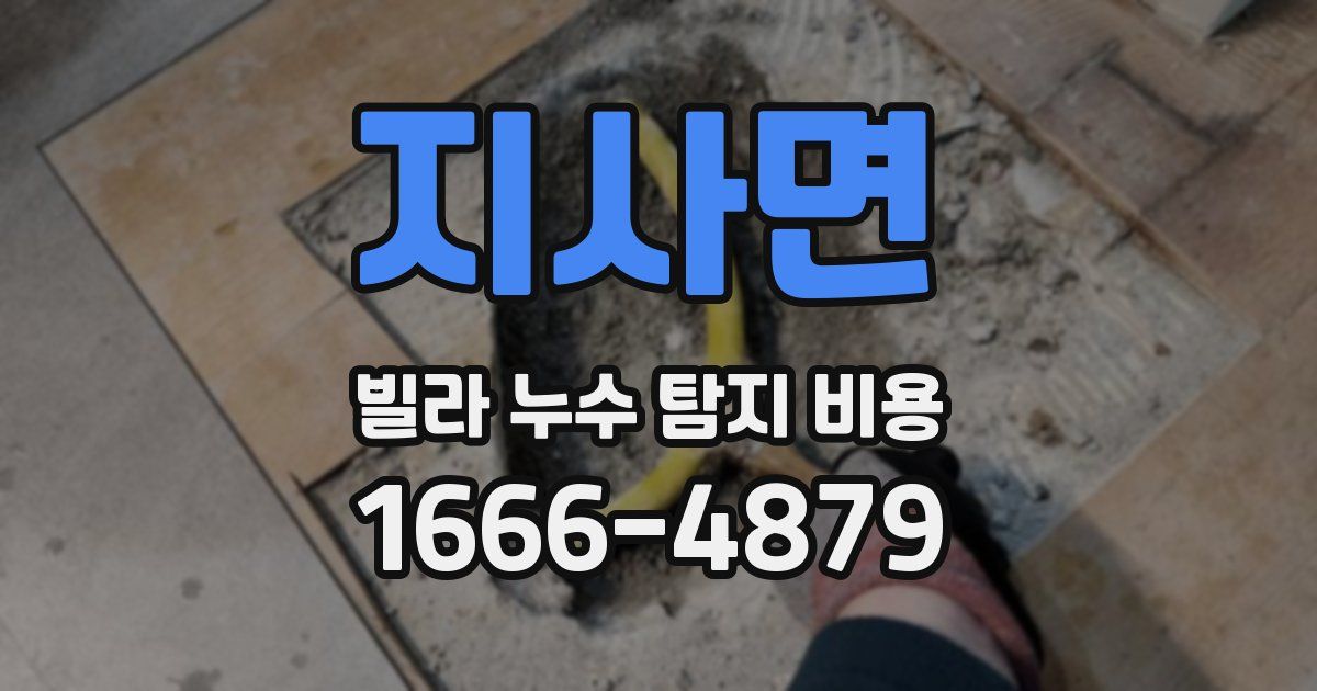 지사면 빌라 누수 탐지 비용