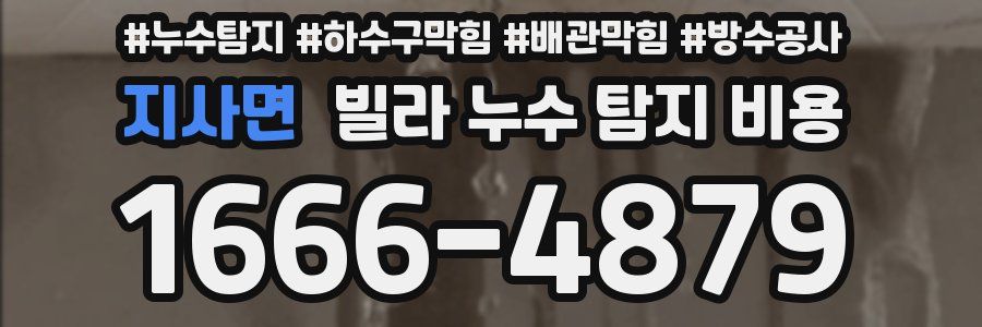 지사면 빌라 누수 탐지 비용