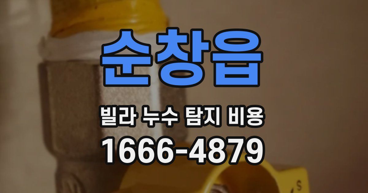 순창읍 빌라 누수 탐지 비용