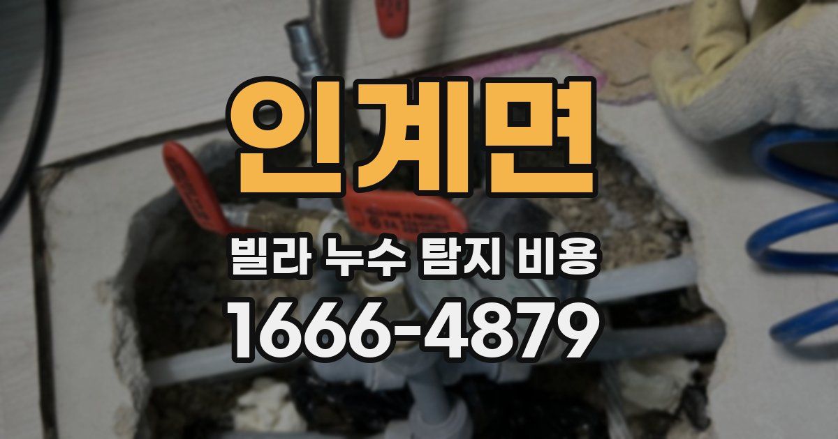 인계면 빌라 누수 탐지 비용