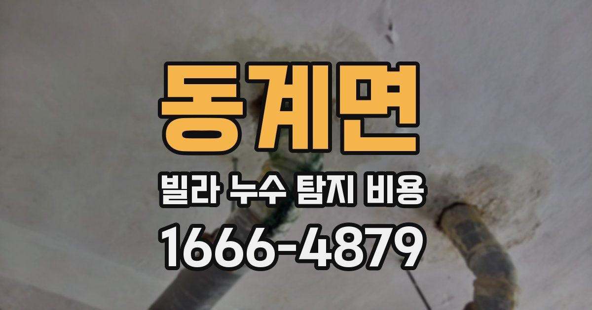 동계면 빌라 누수 탐지 비용