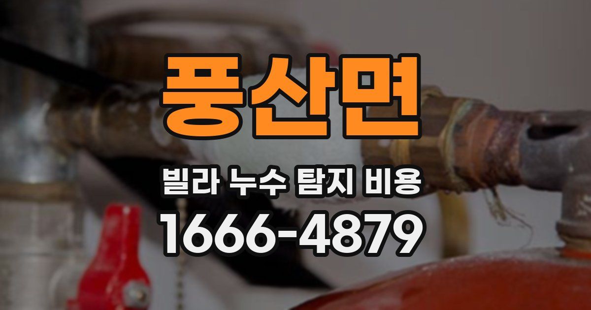 풍산면 빌라 누수 탐지 비용