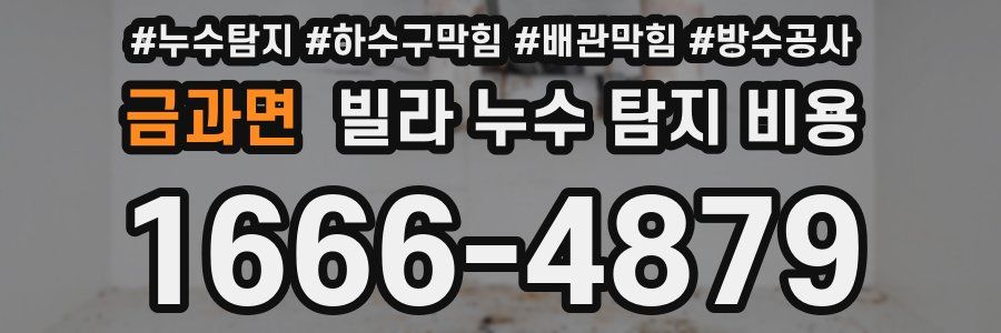 금과면 빌라 누수 탐지 비용