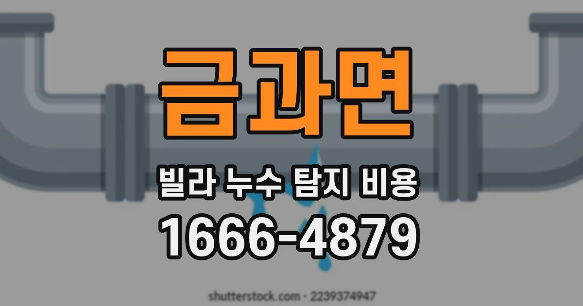 금과면 빌라 누수 탐지 비용