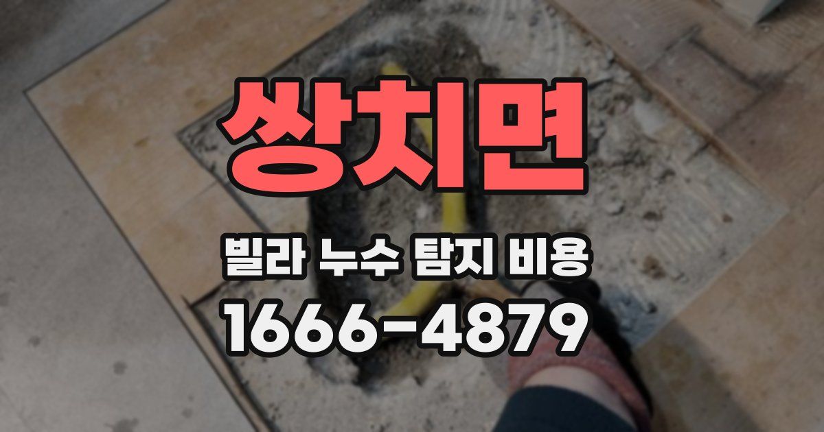 쌍치면 빌라 누수 탐지 비용