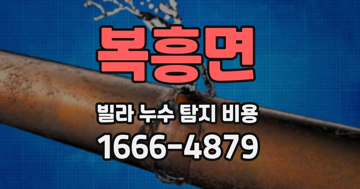 복흥면 빌라 누수 탐지 비용
