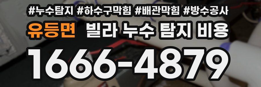 유등면 빌라 누수 탐지 비용
