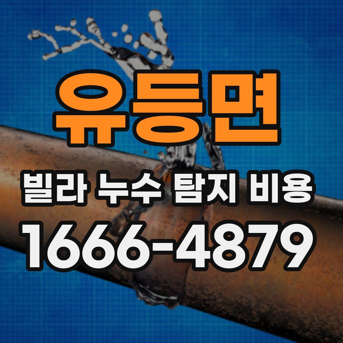 유등면 빌라 누수 탐지 비용
