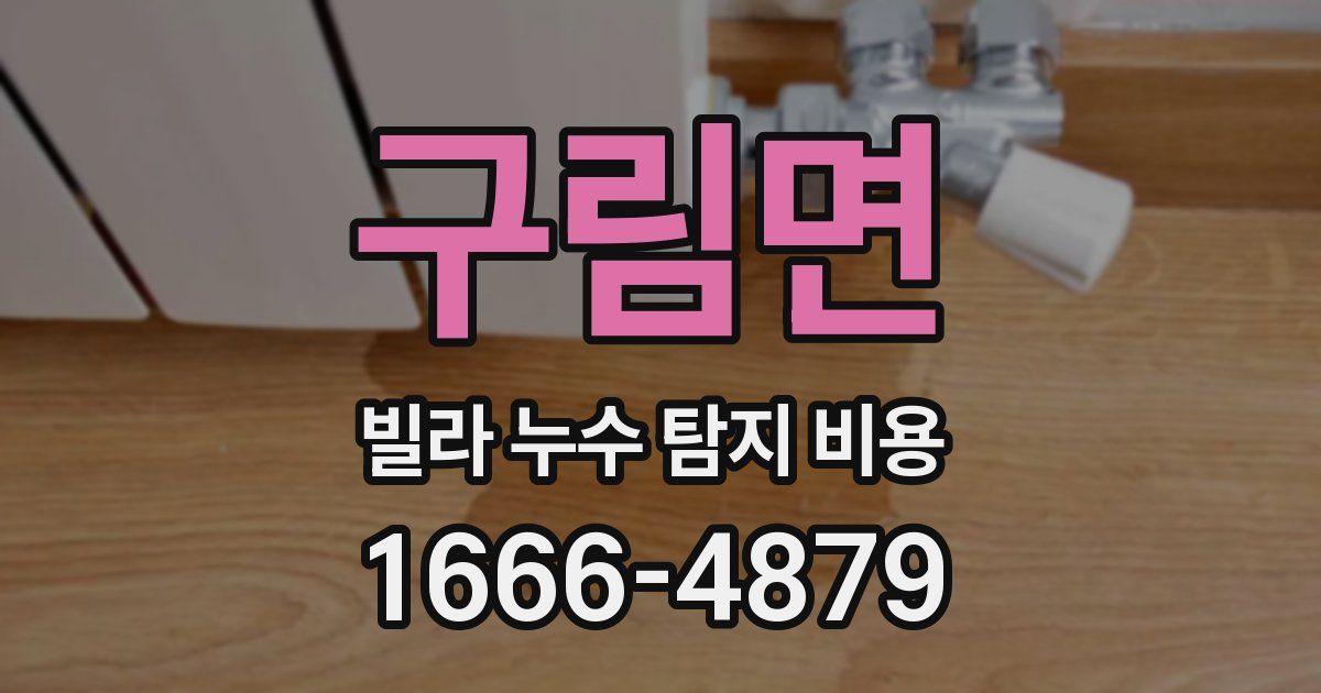 구림면 빌라 누수 탐지 비용