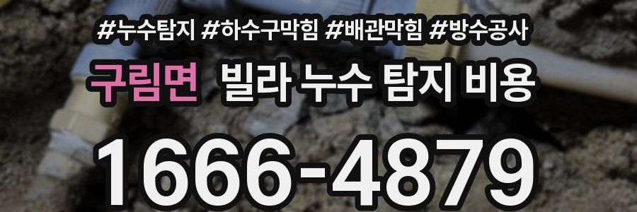 구림면 빌라 누수 탐지 비용