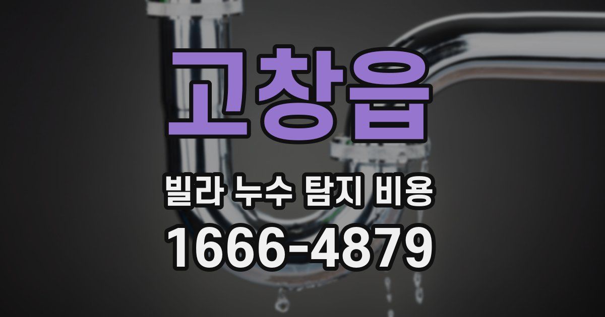 고창읍 빌라 누수 탐지 비용