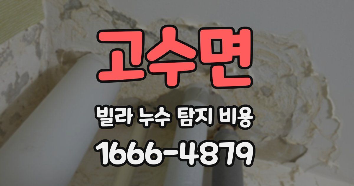 고수면 빌라 누수 탐지 비용