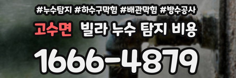 고수면 빌라 누수 탐지 비용