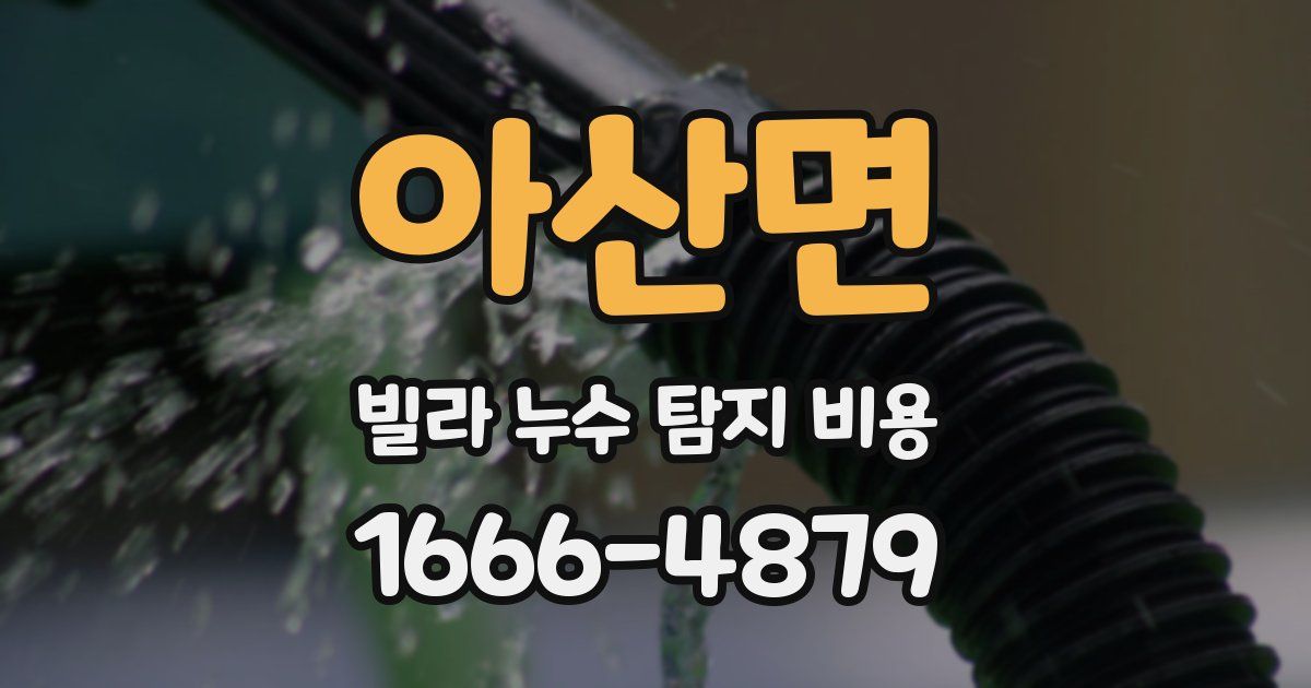 아산면 빌라 누수 탐지 비용
