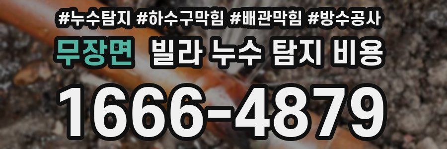 무장면 빌라 누수 탐지 비용