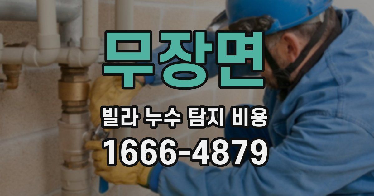 무장면 빌라 누수 탐지 비용