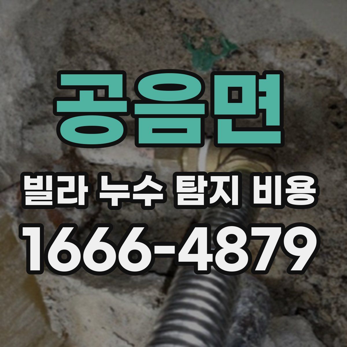 공음면 빌라 누수 탐지 비용
