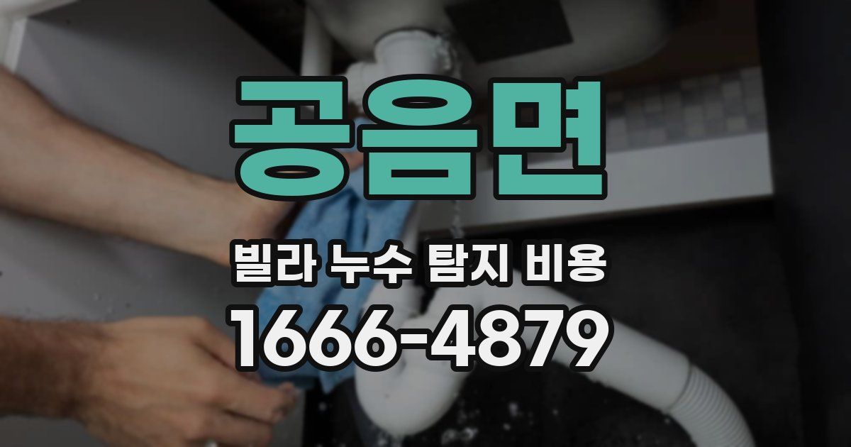 공음면 빌라 누수 탐지 비용