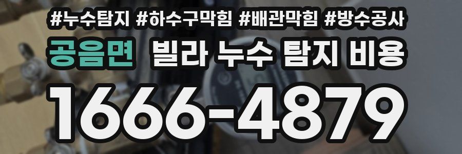 공음면 빌라 누수 탐지 비용