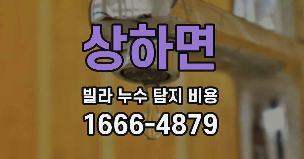 상하면 빌라 누수 탐지 비용