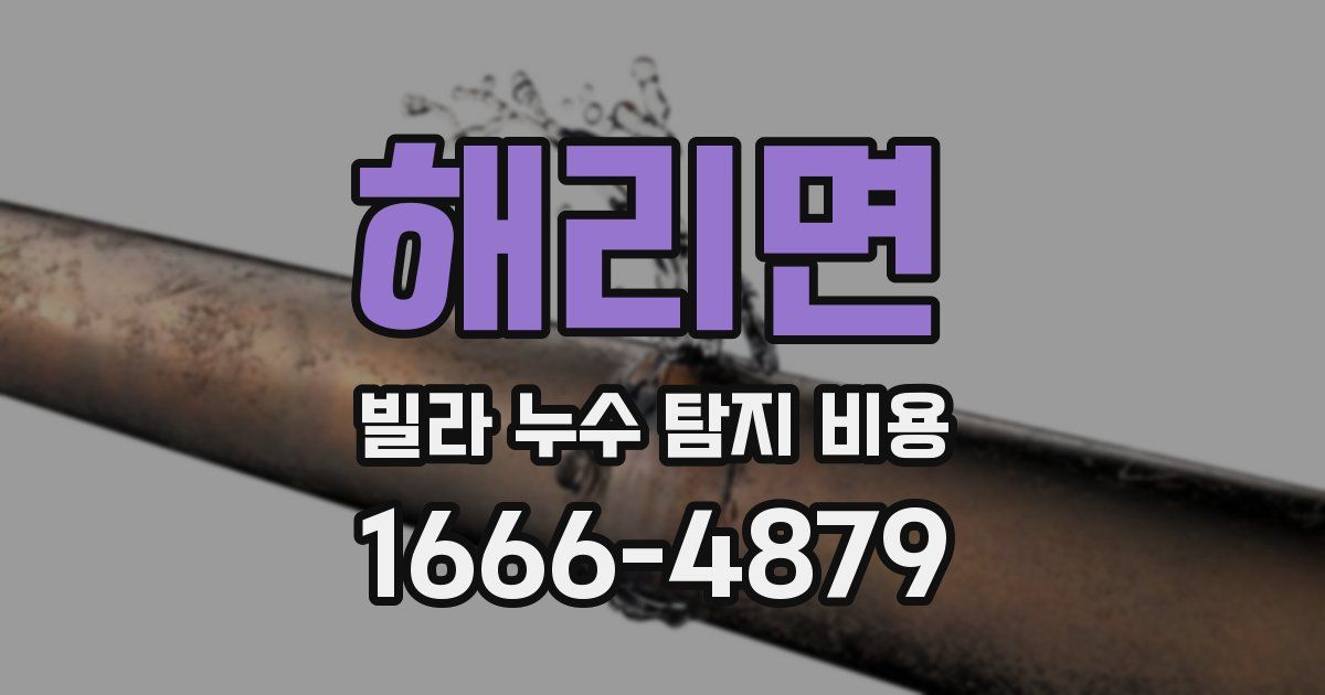 해리면 빌라 누수 탐지 비용
